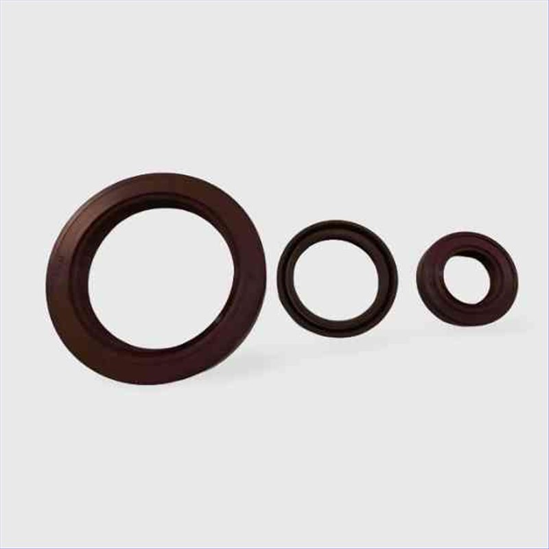 Paraolio VITON 30X43x8 TC 30X43x8TC13,32 € Paraolio VITON 30X43x8 TC 30X43x8TC13,32 €