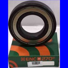 6013 ZZ ENC 270 ° C BRL 65x100x18
