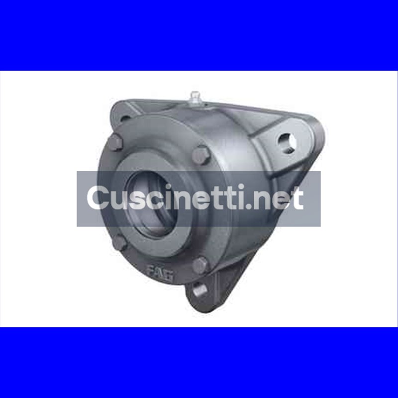 F505-B-L FAG 110x55x100