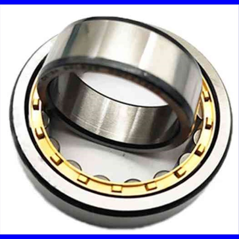 NU-309-M CX 45x100x25 NU-309-M CX 45x100x25