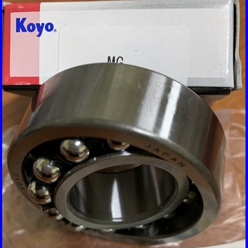 2205 C3 MG KOYO 25x22x18 2205C3MG24,06 €