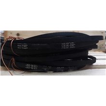 Cinghia FTD 5V 1000