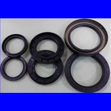 Paraolio NBR 25x45x7 SC