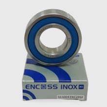 6004 2RS ENC INOX BRL 20x42x12