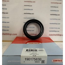 19017583B CORTECO 50x70x10/16 RHTC9 ACM Paraolio 19017583B12,38 €