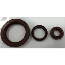 Paraolio VITON 60x80x10 A 60x80x10A10,87 €