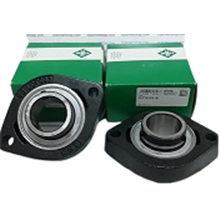 Supporto FLCTE17-XL INA 17x81x30,5