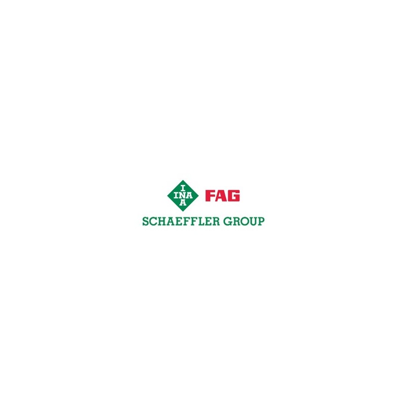 FW12-B INA 40x40x20