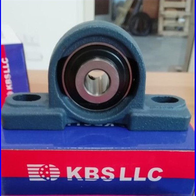 Supporto ghisa UCP306 KBS/USA