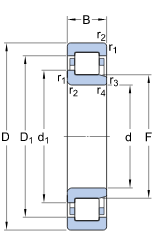 Schema SKF